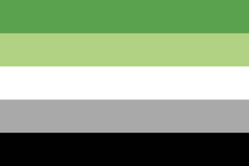 Flag with dark green, light green, white, gray, and black stripes.